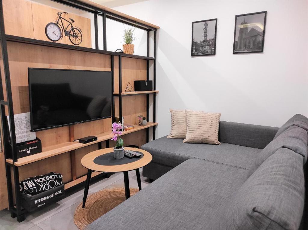 Apartamenty Marianska 103 Racibórz Extérieur photo